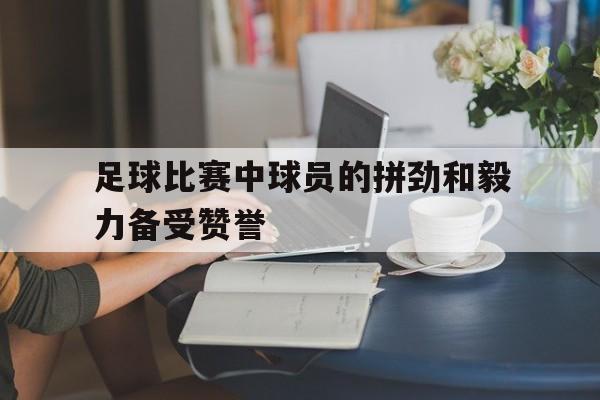 足球比赛中球员的拼劲和毅力备受赞誉
